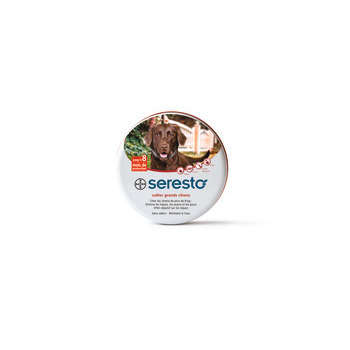 Collier Seresto grand chien