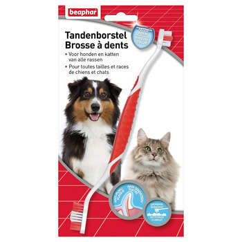 Brosse à dents pour toutes tailles et races de chi