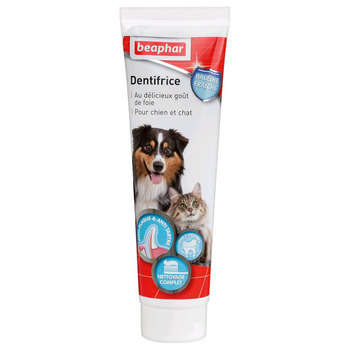 Dentifrice pour chiens : goût foie