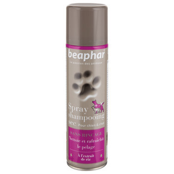 Spray Shampooing sec sans rinçage, extrait de riz