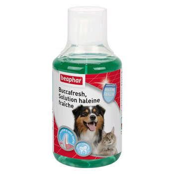 Solution haleine fraîche, chien & chat