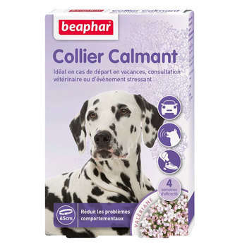 Collier calmant pour chien, Valériane