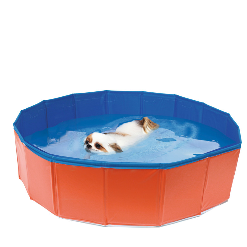 Piscine pour chien 80x20cm