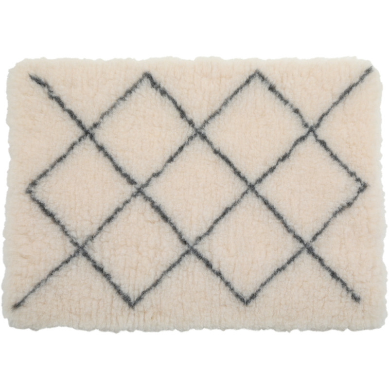 Tapis isolants pour chiens 50 x 70 cm beige.
