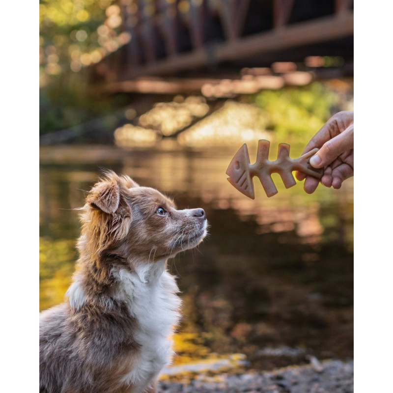 Jouet pour chien, Fishbone saumon L