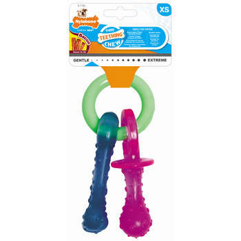Nylabone puppy tetine pacifier xs bacon