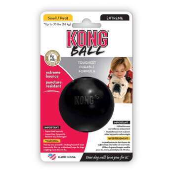 Kong - Jouet Extreme Ball - Chien - S