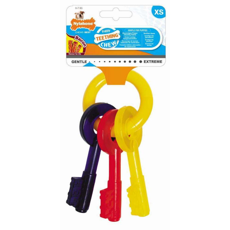 Jouet pour chiot Nylabone Teething dental goût bac