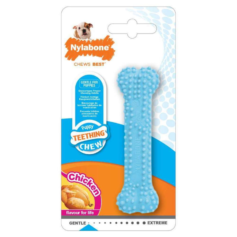 Jouet pour chiot Nylabone Teething dental goût pou