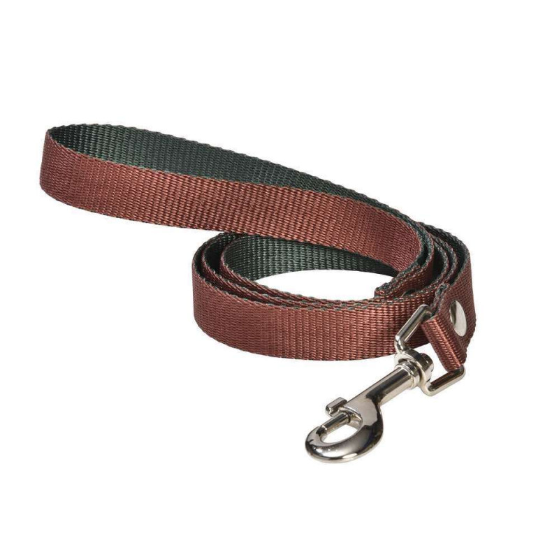 Laisse pour chien spotted bordeaux M