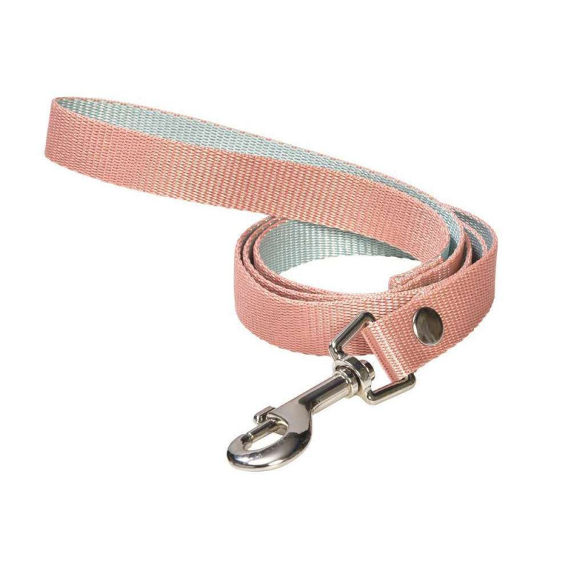 Laisse pour chien spotted corail M