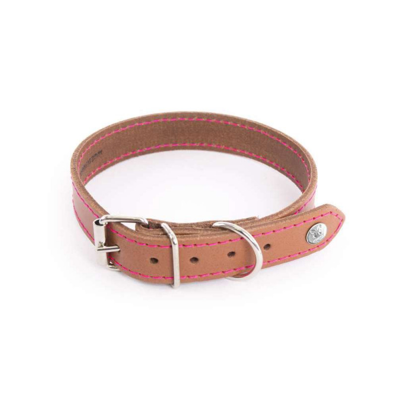Collier Flash chien : cognac/rose, T.35