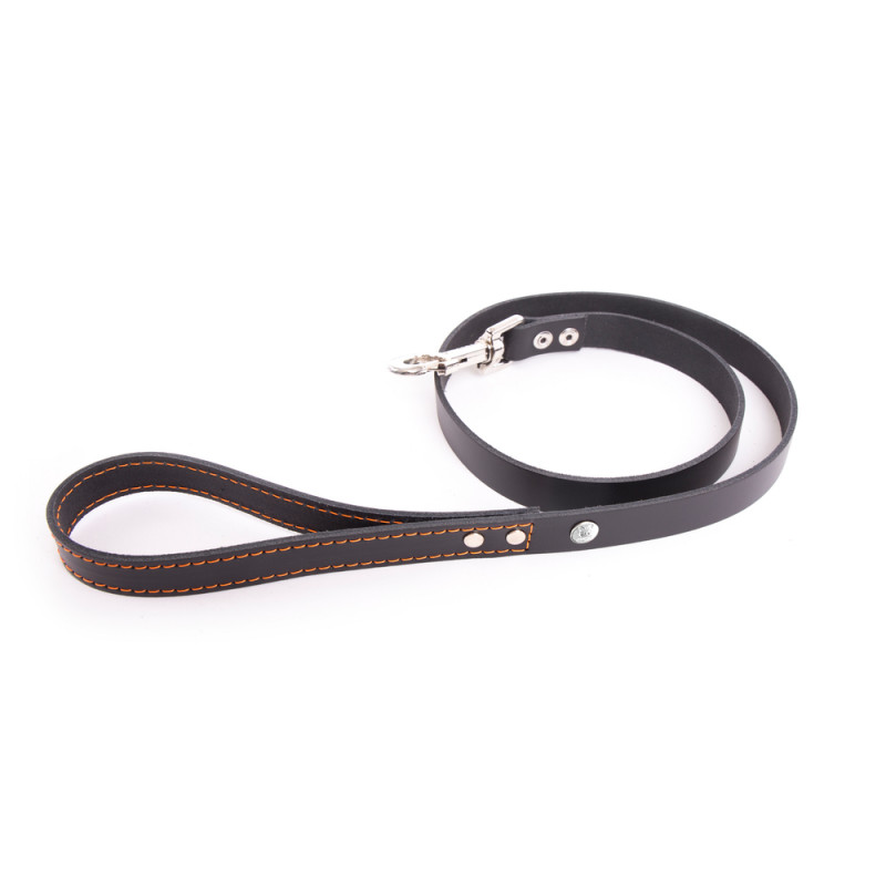 Laisse Flash T. 100 pour chien noir /orange