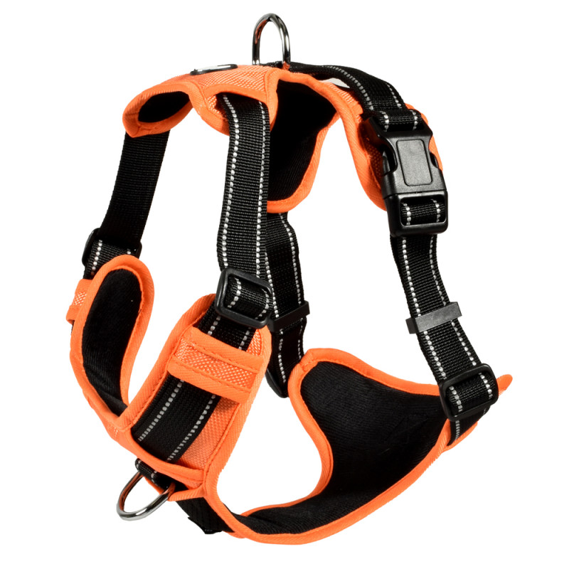 Harnais Rando Walk pour chien orange - Taille S