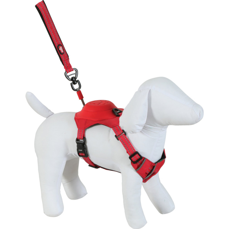 Harnais Easyride pour chien, coloris rouge - taill