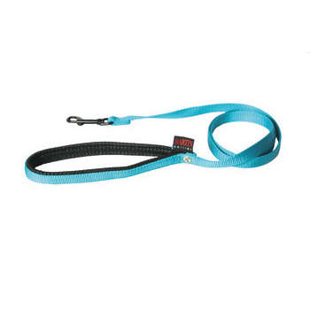 Laisse chien : nylon, turquoise, 2,5x120cm