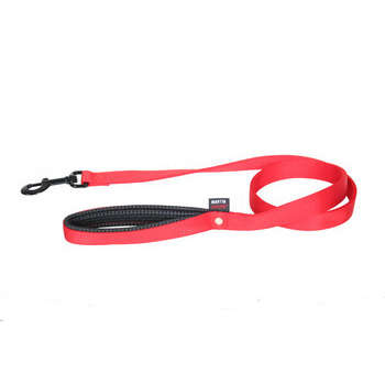 Laisse double épaisseur nylon uni largeur 2,5cm et