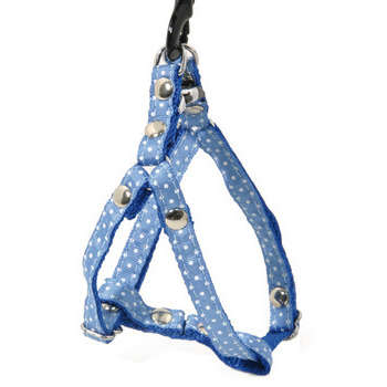 Harnais galon motif pois sur sangle nylon : Tour d