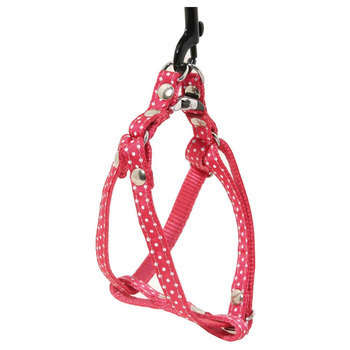 Harnais galon motif pois sur sangle nylon : Tour d