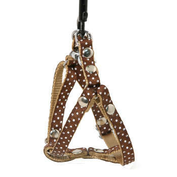 Harnais galon motif pois sur sangle nylon: Tour de