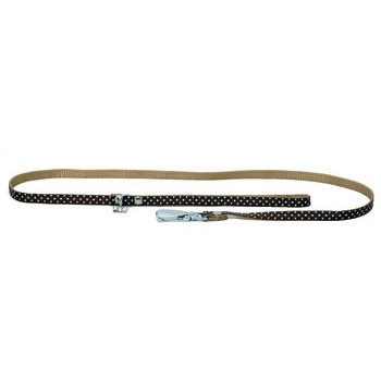 Laisse nylon Pois marron largeur de 1 cm et longue