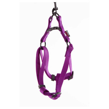 Harnais baudrier pour chien 35/50cm, mauve