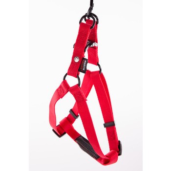 Harnais baudrier pour chien 50/70cm, rouge