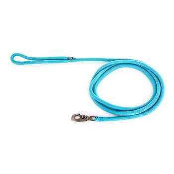 Laisse pour chien, en nylon: rond uni turquoise L.