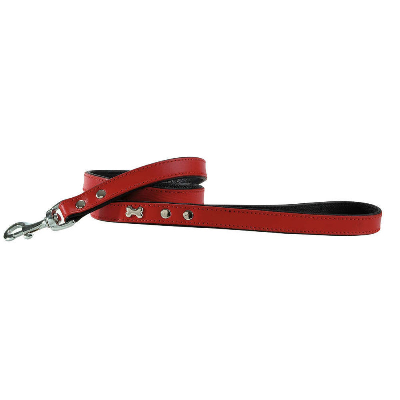 Laisse Extra Souple 106 pour chien de couleur roug