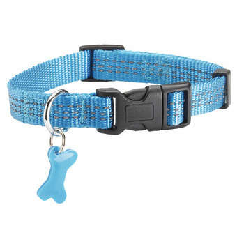 Collier Safe pour chien : bleu 20