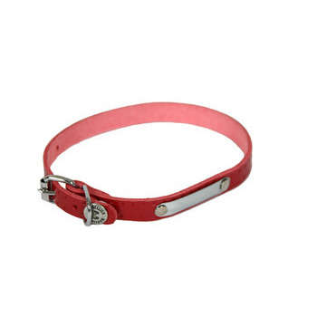 Collier pour chiens Rive rouge 12/35