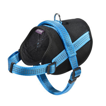 Harnais Easy de la collection Safe, couleur bleu e