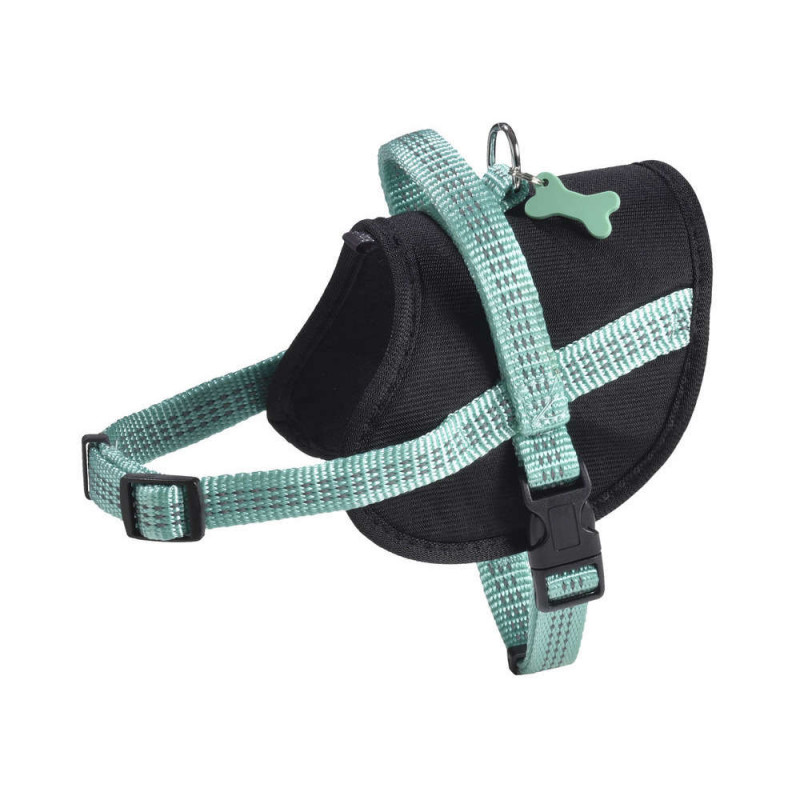 Harnais Easy de la collection Safe, couleur lagon