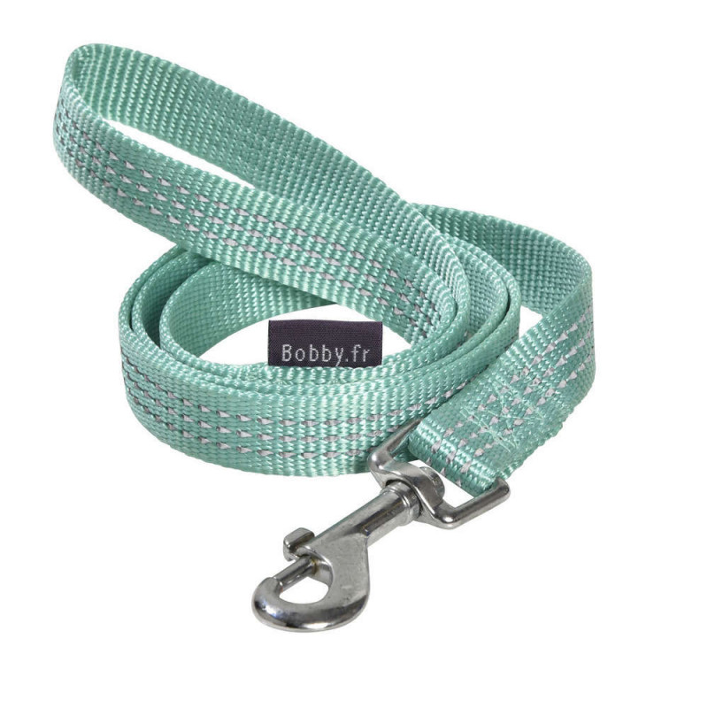 Laisse Safe pour chien de couleur lagon et de tail