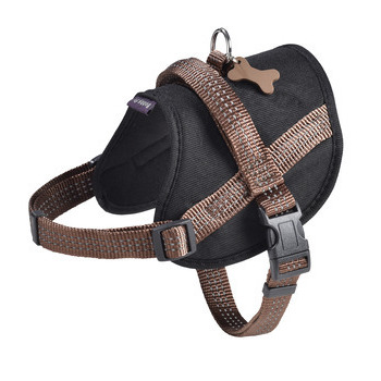 Harnais Easy de la collection Safe, couleur marron