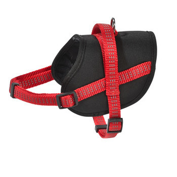 Harnais Easy de la collection Safe, couleur rouge