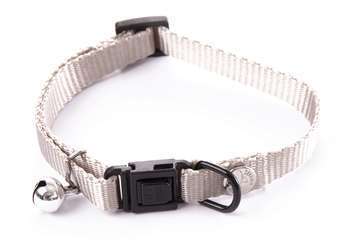 Collier gris réglable pour chat, en nylon