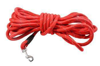 Longe pour Chien 5M Walk Rouge