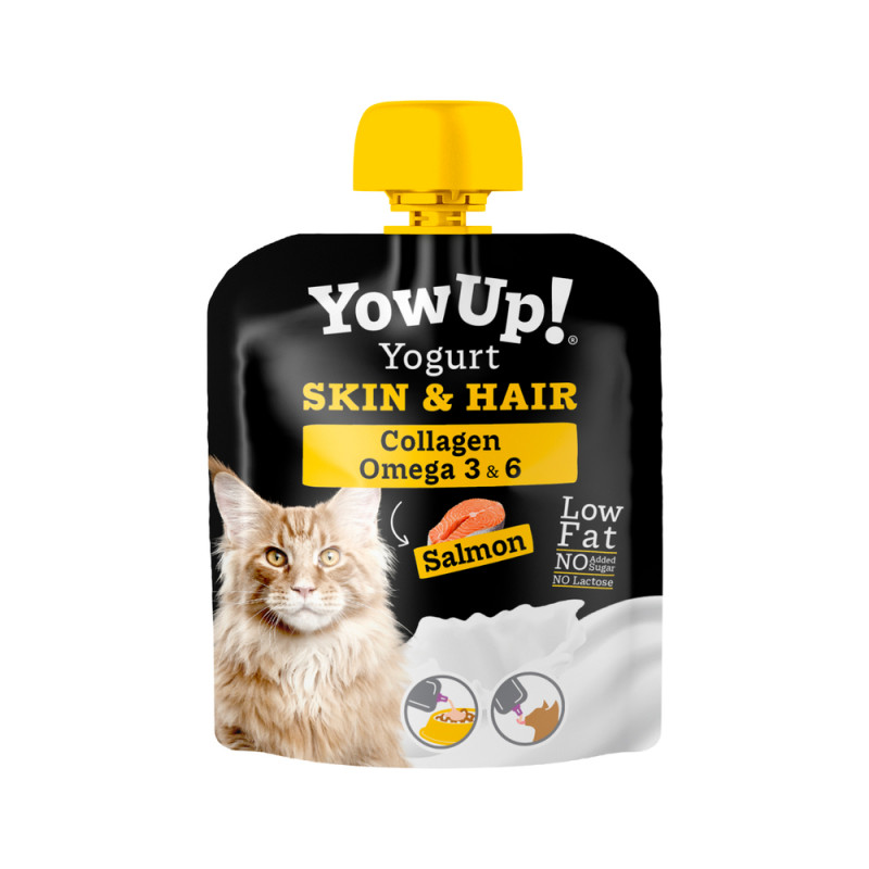 Yaourt pour chat au saumon, entretien de la peau e