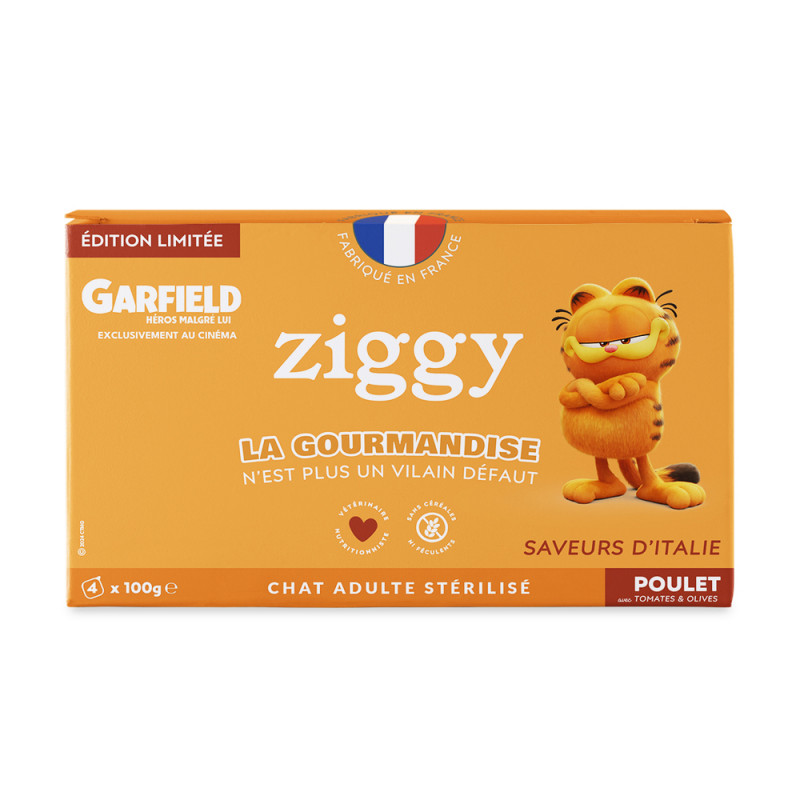 Pâtée édition limitée Garfield - saveurs d'Italie
