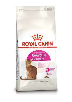 Croquettes chat difficile receptif saveurs savour