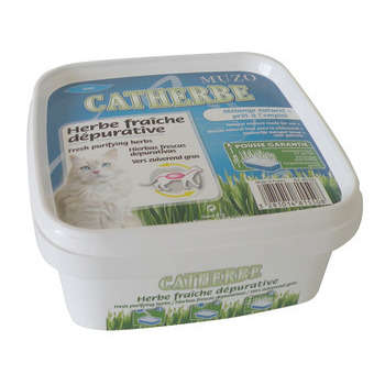 Herbe fraiche dépurative Catherbe dépuratif 220 gr