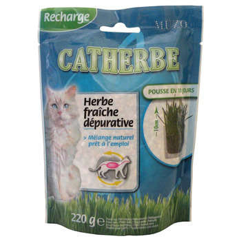 Recharge catherbe 220g