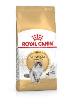 Croquette chat de race norwegian adult - 2kg