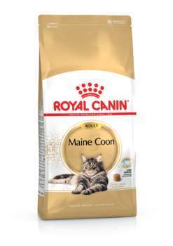 Croquettes chat Maine Coon Adulte à partir de 15 m