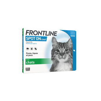 Pipette antiparasitaire chat: x4