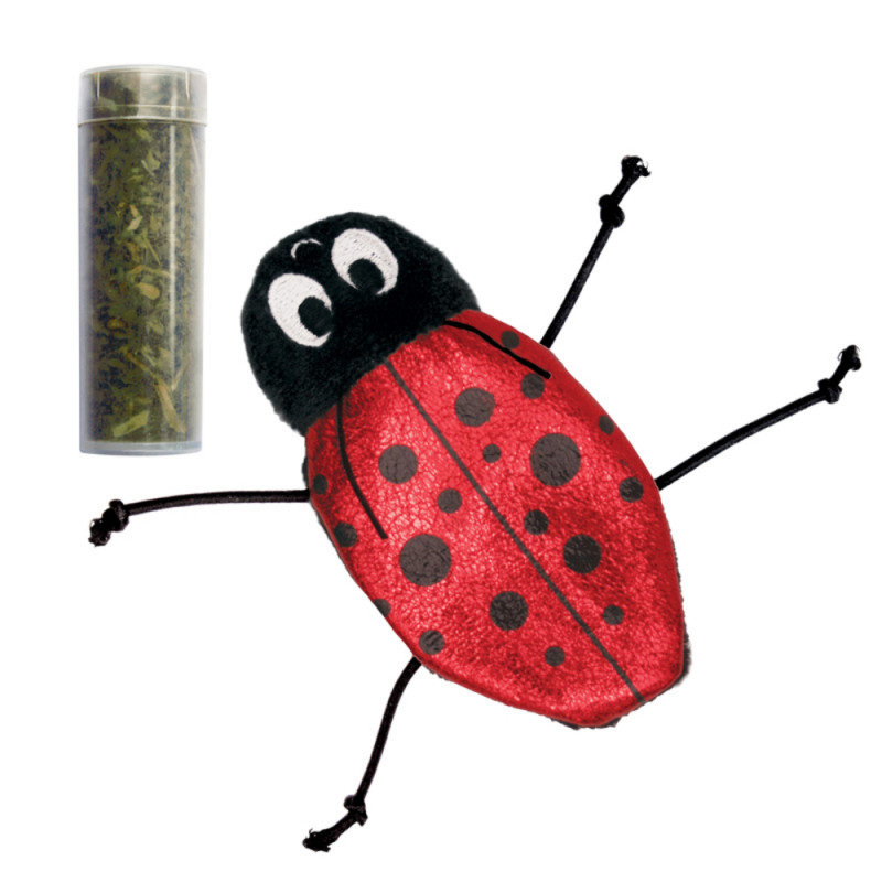 Jouet rechargeable pour chat coccinelle