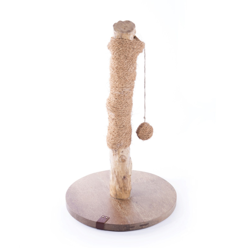 Griffoir Cafeier pour chat 62cm