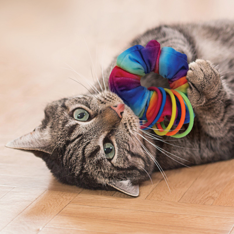 Jouet pour chat, scrunchie active