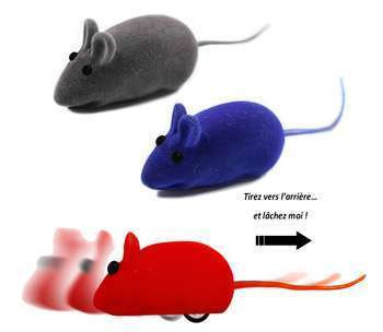 Jouet chat mini-souris friction